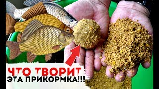 Осень на что клюет карась