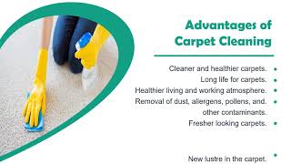 Get Affordable & Green Carpet Cleaning Services in Sydney | Premium Cleaning Services