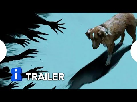 Bom Menino | Trailer Oficial Dublado