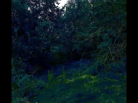 J dilla Jay Dee 10 [14 minute version]