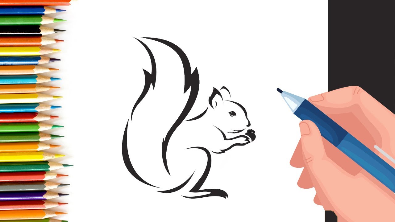 How to draw a squirrel