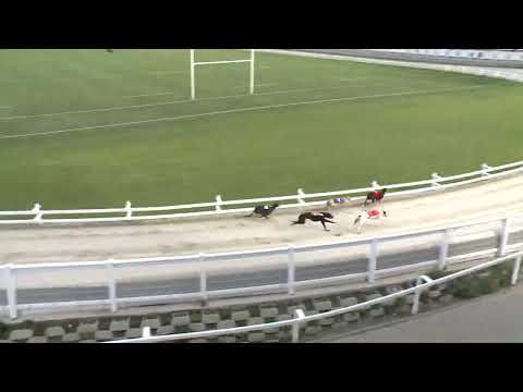 2023.04.22. 11. futam - Szezonnyitó Nagydíj