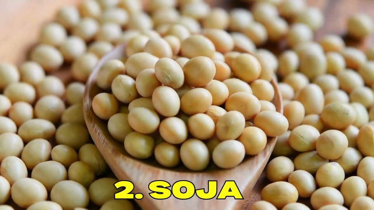 10 cultivos mas importantes del mundo en 2024. Se acabaría la humanidad sin estos cultivos.