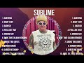 The Best Of Sublime Full Album 2024 Top Artists To Listen 2024