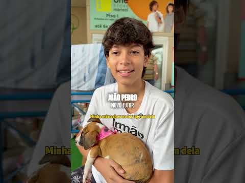 Sábado foi dia de feira de adoção no Buriti Shopping 🐶🐱💚