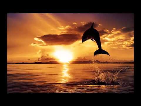 MOTi & Alpharock - ID