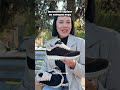 Кросівки жіночі замш на хутрі 596472 Коричневі Відео