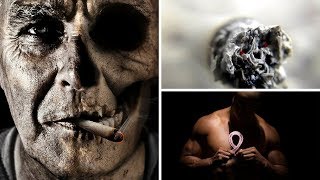 Oxygen deficiency is what actually initially causes cancer