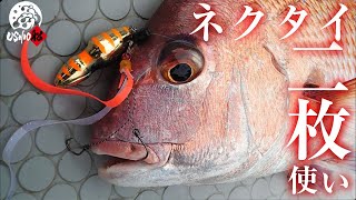 【渋い時ほど重要】「TGビンビンスイッチ」カラー + ネクタイのローテーションで難しい魚を食わせる！ 真鯛、青物、根魚連発で瀬戸内攻略｜吉岡進 田邊義雄