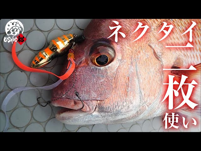 Jackal Nektie Curly 4pc/bag/ شرائط جاكال برائحة وط...