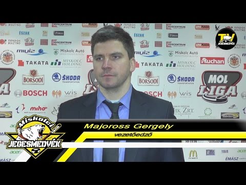 Miskolci Jegesmedvék - Dab.Docler (2015.01.18.)