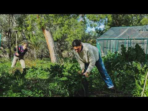 Trabajamos la tierra en vez de ir al gimnasio - Un día real en la finca