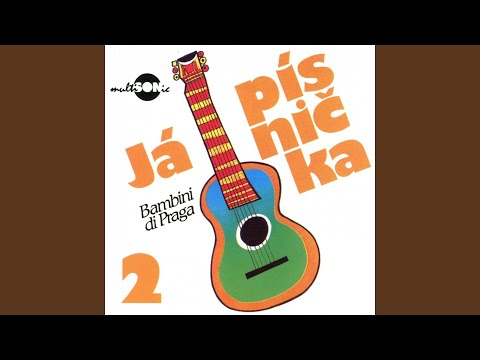 Život Je Jen Náhoda