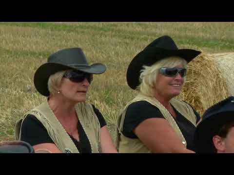 STARÁ SEŠLOST - Jednou je málo (Večerníček)