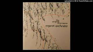 Repeat Orchestra - The Unforeseen