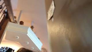 I fell down the stairs