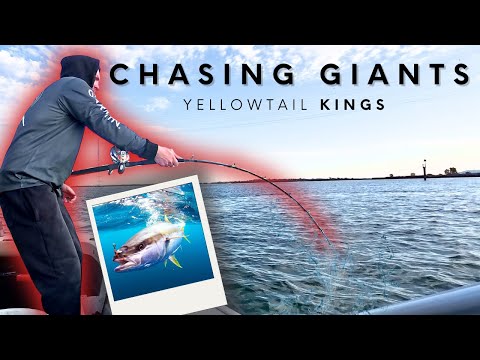 Chasing Giants: The Pursuit of Monster Kingfish