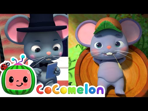 Country Mouse and City Mouse | CoComelon | SingAlong | Nursery Rhymes and Songs for Kids