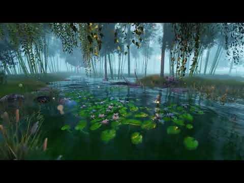 Ascolta per 5 minuti e entri immediatamente in un sonno profondo, Musica rilassante