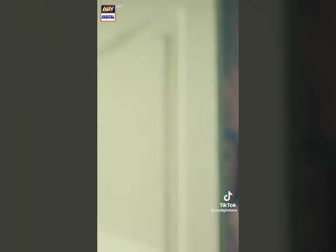 DILE VEERAN EPISODE 55 ARY DIGITAL 3 AUGEST 20222