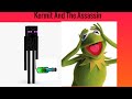 Kermit And The Assassin