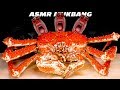 ASMR Living Giant Jumbo King Crab Mukbang Seafood 살아있는 초대형 킹크랩 먹방 キング�