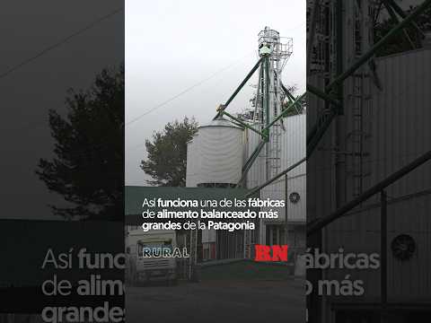 Así funciona una de las fábricas de alimento balanceado más grandes de la Patagonia