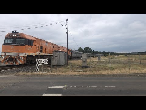 NR31 and NR30 GREAT SOUTHERN passing Wallan crossing and racing a Sprinter