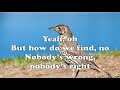 Our Lady Peace - The Birdman (with Lyrics)
