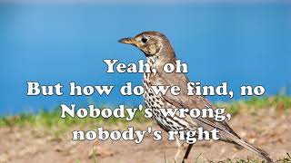 Our Lady Peace - The Birdman (with Lyrics)