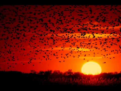 Weepee - Summer (Radio Edit)