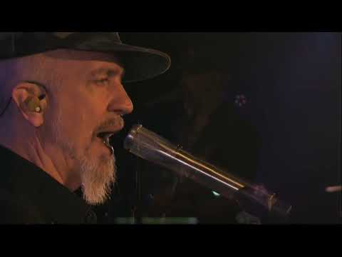 JJ Grey & Mofro – “This River” (Live at The Shed, 4.26.24)