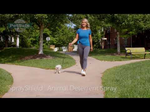 PetSafe® SprayShield® Animal Deterrent Spray