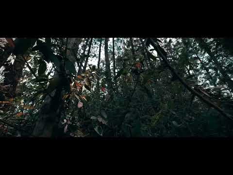 Cklein-Perdernos (con Ale Bello)