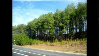 Koto Rajpath Jonopod Ghurechi - Ila Basu কত রাজপথ জনপদ ঘুরেছি