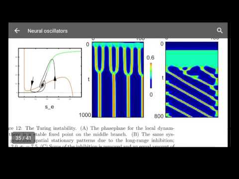 Ridealongs, person 0000000+84GfqvkRPfBeHs3u time 0+000001: keeping phase w/Ermentrout2004