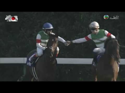 2018 Tenno Sho Autumn G1 - Rey de Oro (金之霸) - C.Lemaire