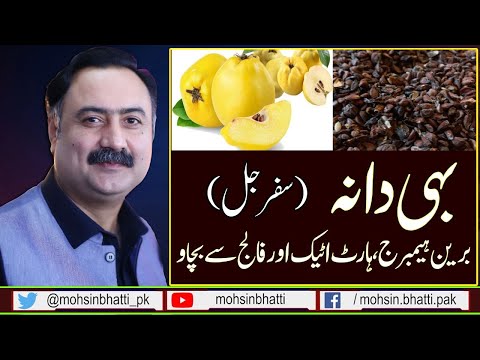 Bahi Dana Quince Fruit Benefits, Jannati Phal, Benefits Of Safarjal, Bihi Dana khane ka tarika