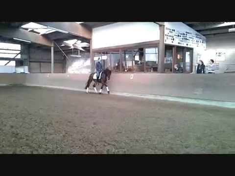 2008 geb. wall. Rock Forever x Aquilino x Argentinus