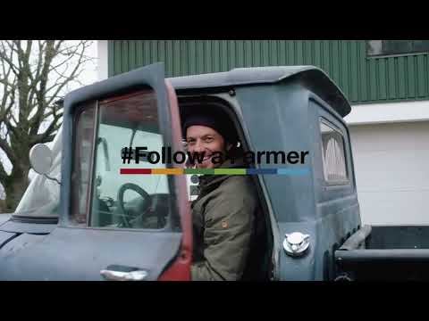 FaF Teaser Thumbnail_4