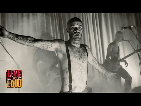 Shindig | Mr Happy | Live at Beckview Studios