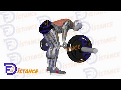 Exercice Rowing à la barre en position penchée