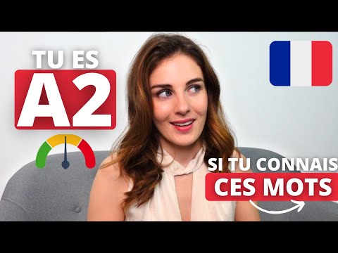 Tu es niveau A2 en français si tu connais ces mots | DELF A2