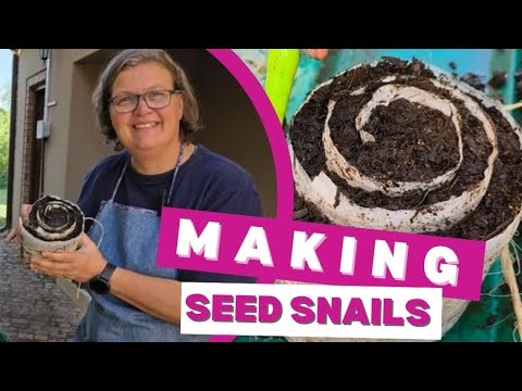 Seed Snails: Easy Seed Starting for Small Spaces
