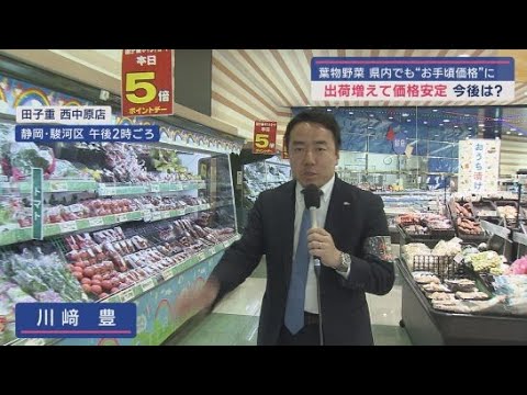 YouTube Video 葉物の野菜は手頃な価格に~静岡市のスーパーマーケットを取材