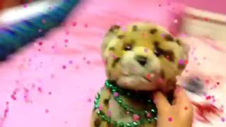 ~Paradise In You~ Radical  Something