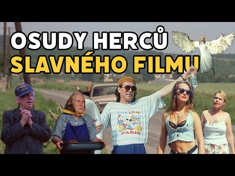 Jak dopadli herci z Dědictví?