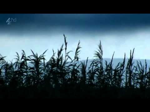 Genius of Britain - The Human zoo - Episode 3 (part 1/5) SUB ENG - ITA