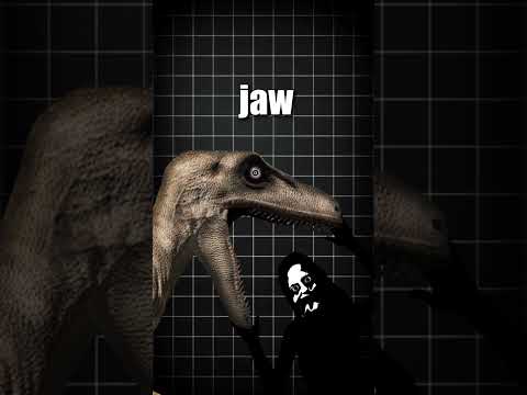 THE ANIMATRONIC INCIDENT 🦖