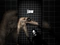 THE ANIMATRONIC INCIDENT